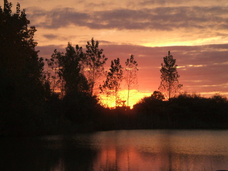 Michigan Sunset