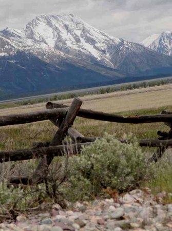 jackson hole