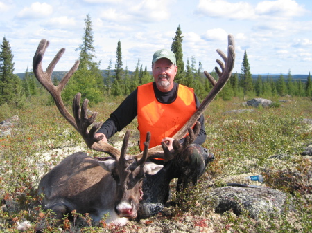 Quebec caribou