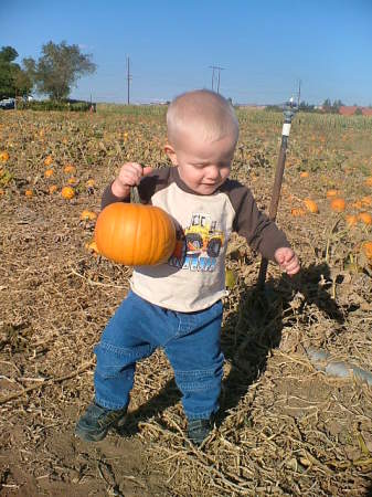 Brady at the Pumpkin Patch