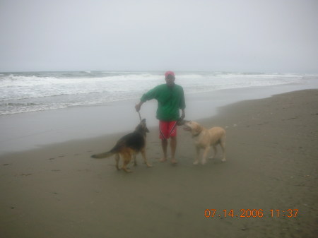 Playing with my dogs on the Beach in San Francisco