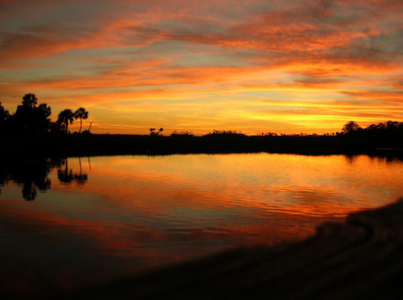 Sunset reflection in Jenkins Creek