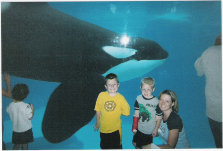 Sea World