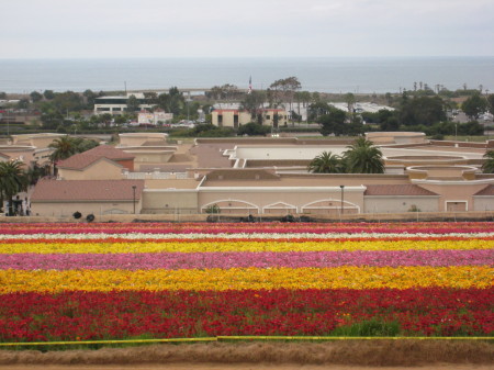 Carlsbad, California