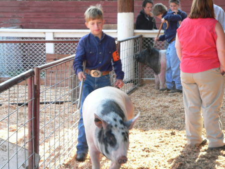 My son Colby w/4H pigs 2006