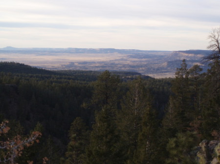 View on the north side of Mt. Taylor