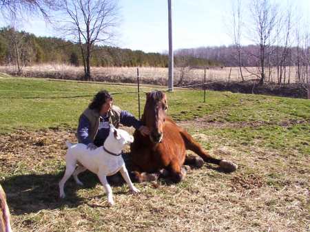 me and my animals