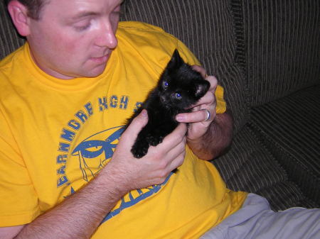 Paul's First Kitten