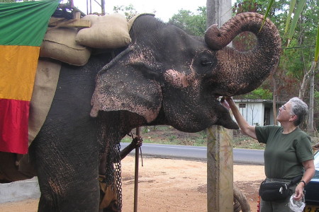 Linda & Hungry Friend