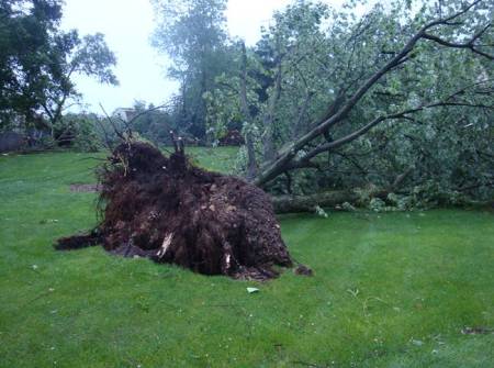 Dale Eggert's album, Eagle storm damage