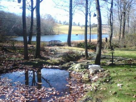 Ponds in the Fall.