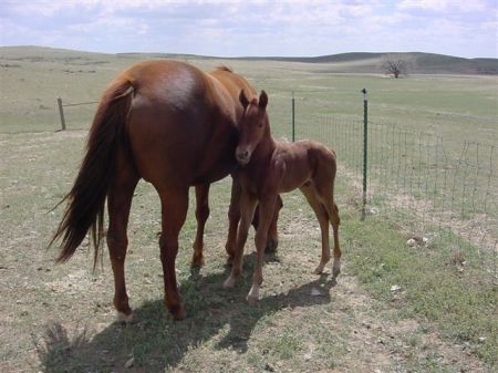 just a few days old