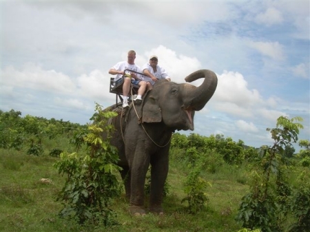 elephant tour in thailand