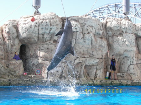 Texas State Aquarium