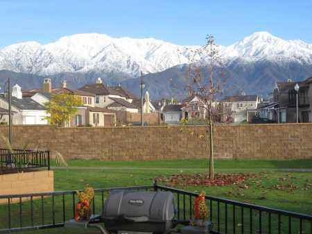 View from back patio, January 2008