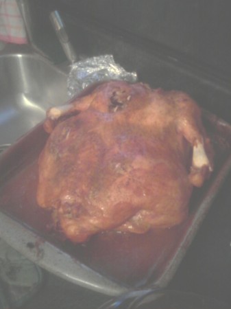 OUR TURKEY THANKSG 08