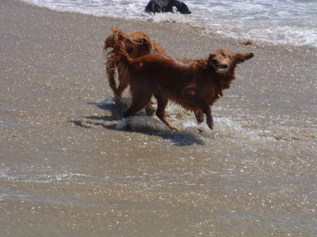 A Day at the Beach