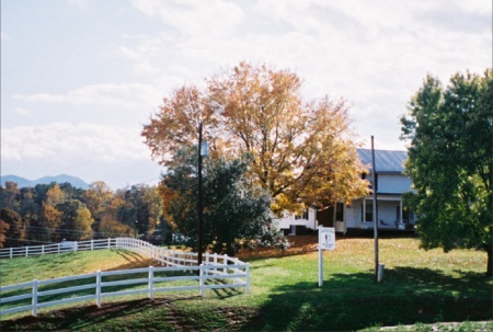 View from my front porch in Parrottsville