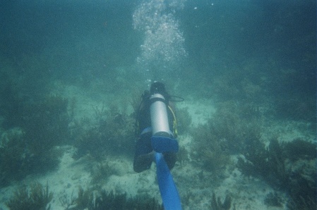 Scuba Diving In Mexico