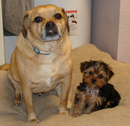 B.J. (Buster JR.) and Gracey Lou