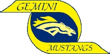 Gemini Junior High School Logo Photo Album