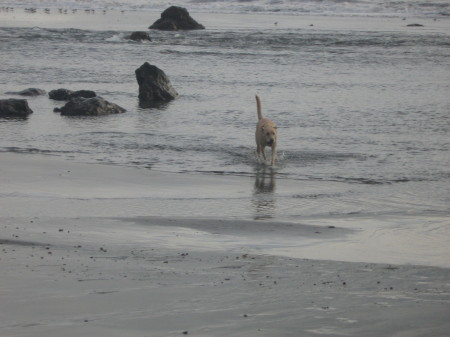 Life on the Southern Oregon Coast