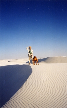 a boy and his dog