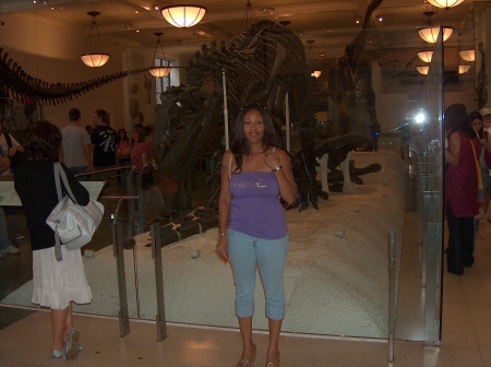 Museum Of Natural History NY