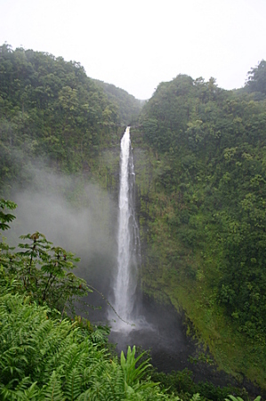 Akaka Falls Big Island