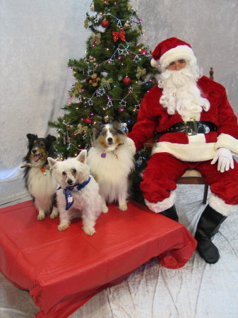 santa -dogs 002