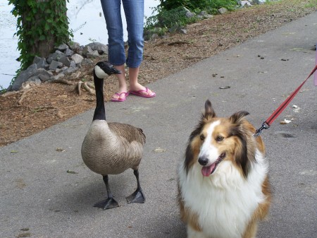 Whiskey and friend