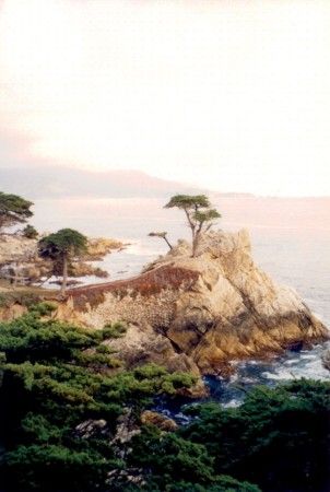 Pebble Beach