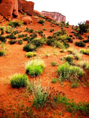 Arches soil