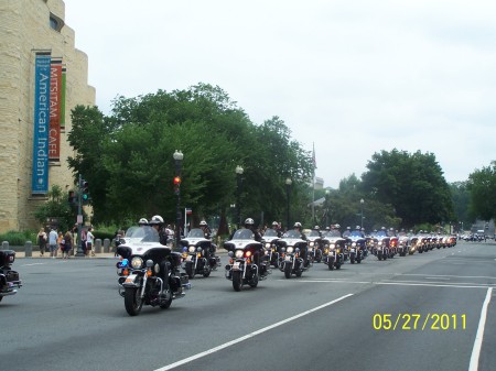 Kay Darr's album, Rolling Thunder Parade 2011