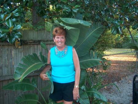 Man eating plant attacks Florida woman