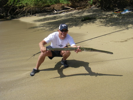 Trumpet fish