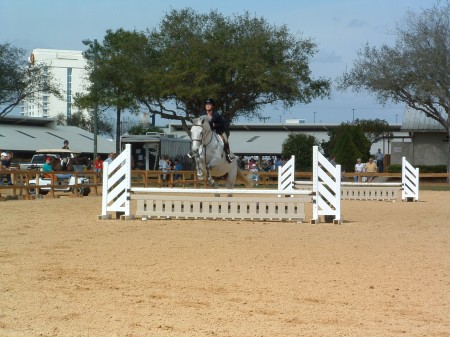 Daughter's latest Horse show