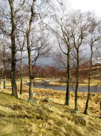 River Esk Scotland