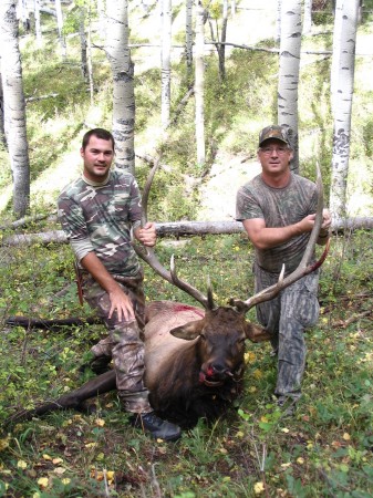 My son's elk 2005 bow season in Colorado