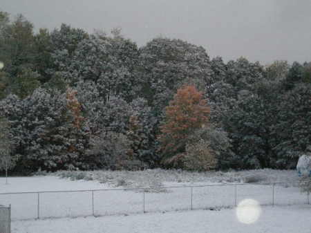 THe First Snow of the kids lives