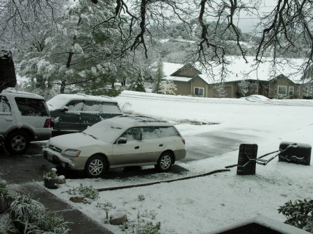 February 14, 2009 Snow!