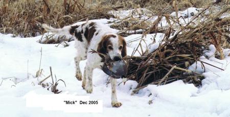 Best Hunting Buddy