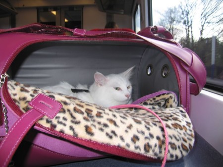 How to travel instyle ;-)