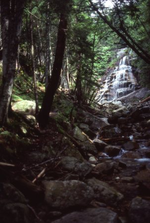 Cascade Trail, Franconia Notch, NH