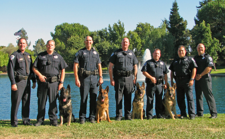 k9 pictures 018