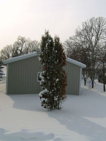 Robert Piotrowski's album, Snow in Minnesota