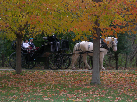 Fall Carriage Ride