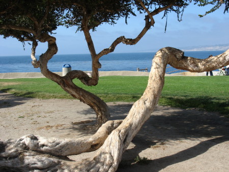 La Jolla, California