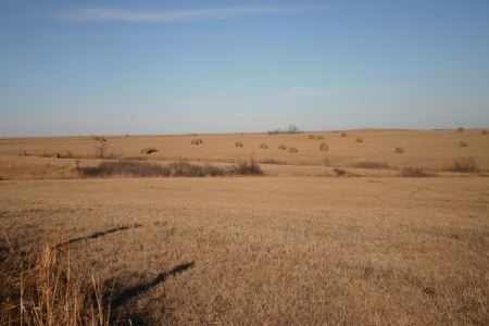 Kansas 2007