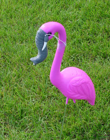 Elephant Flamingo